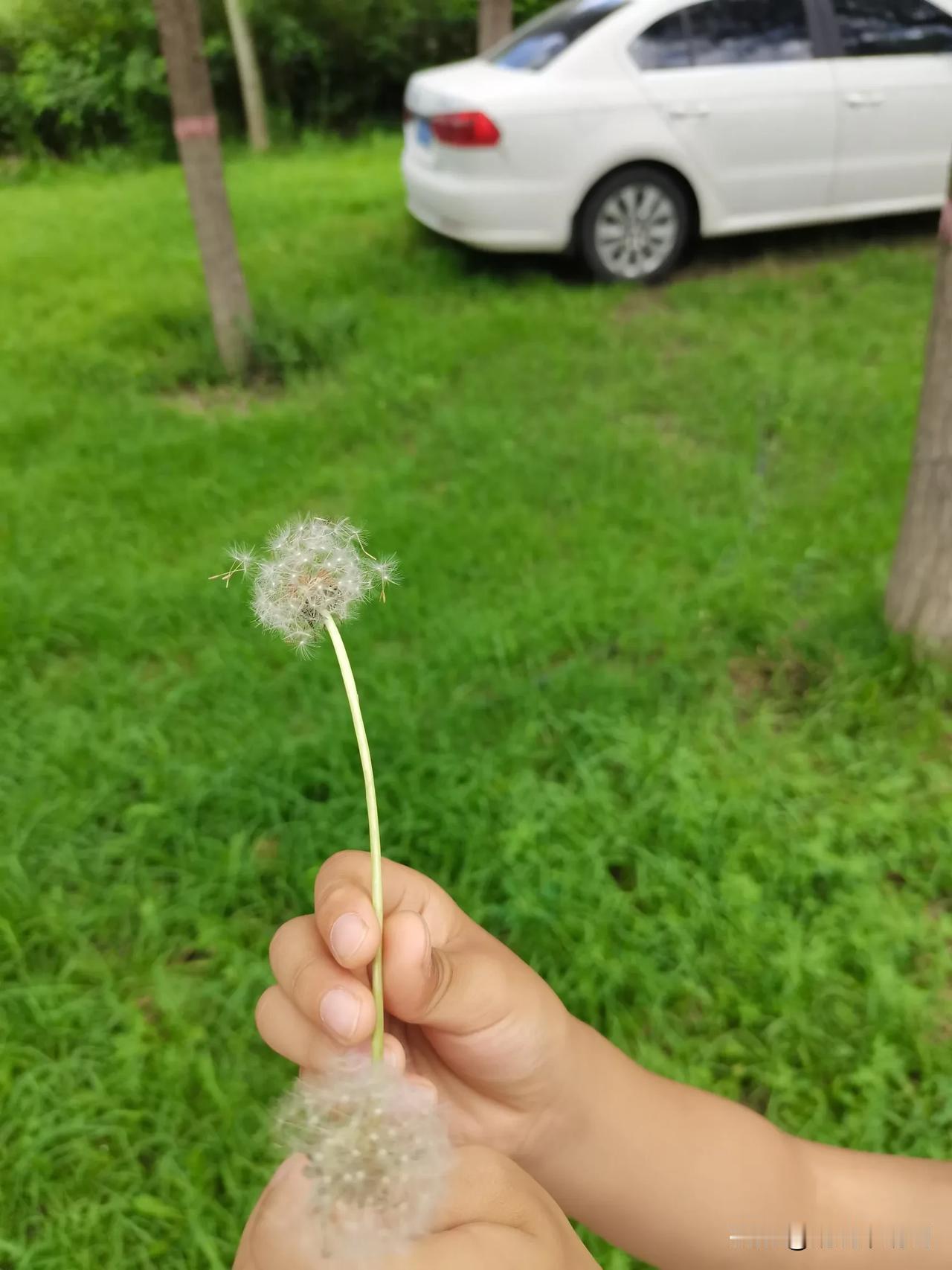 早起起来听到一个噩耗，我的好同事，好战友，永远的离开了，才46岁啊，年纪轻轻，长