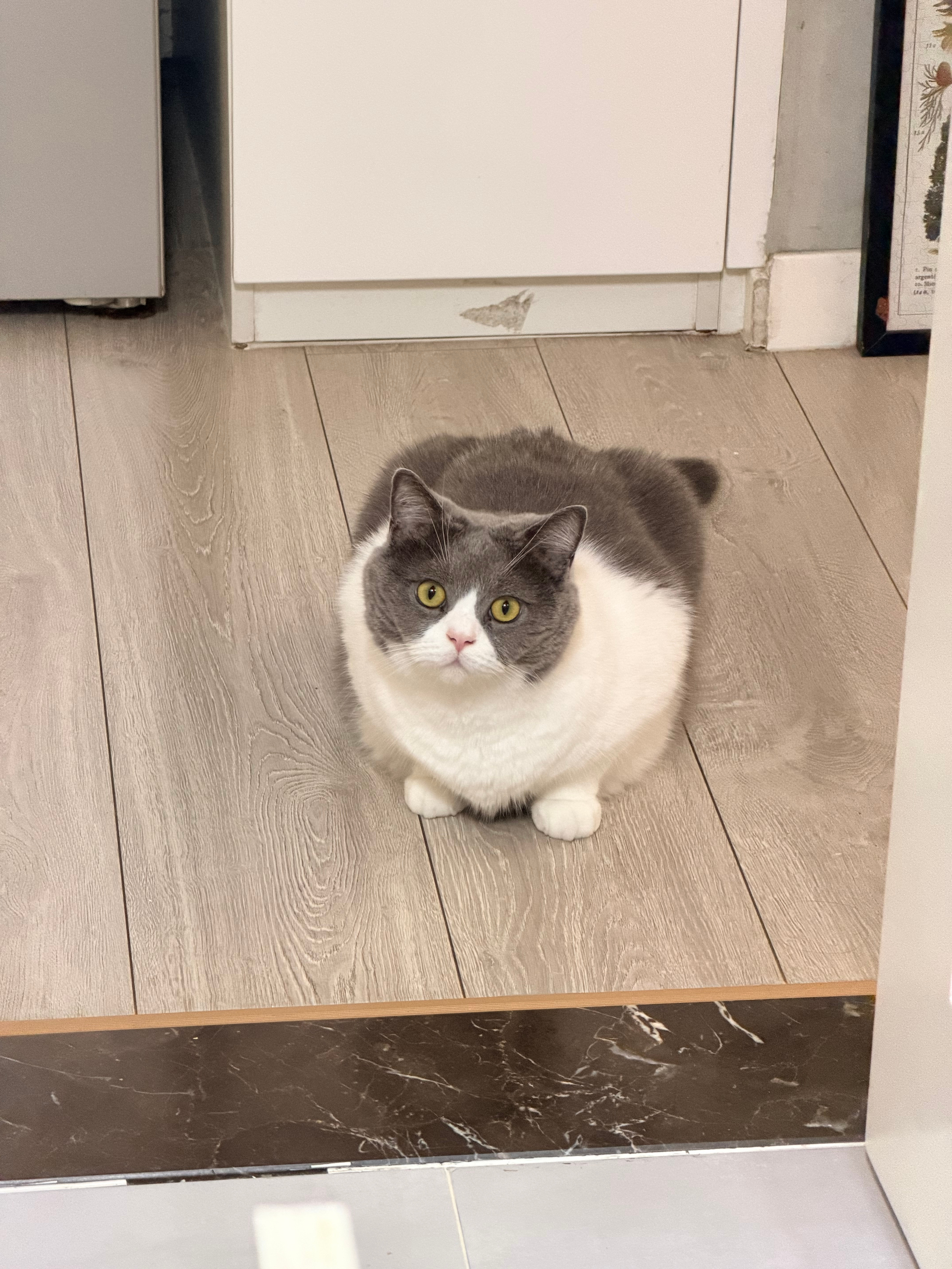 我做饭，他也要守着我。 ​​​