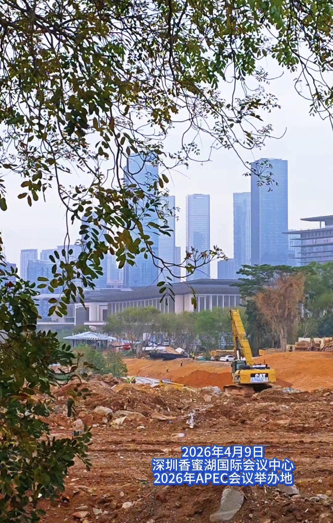 今天上午去看了一下深圳香蜜湖公园的最新进度，这里也是2026年APEC会议的举办