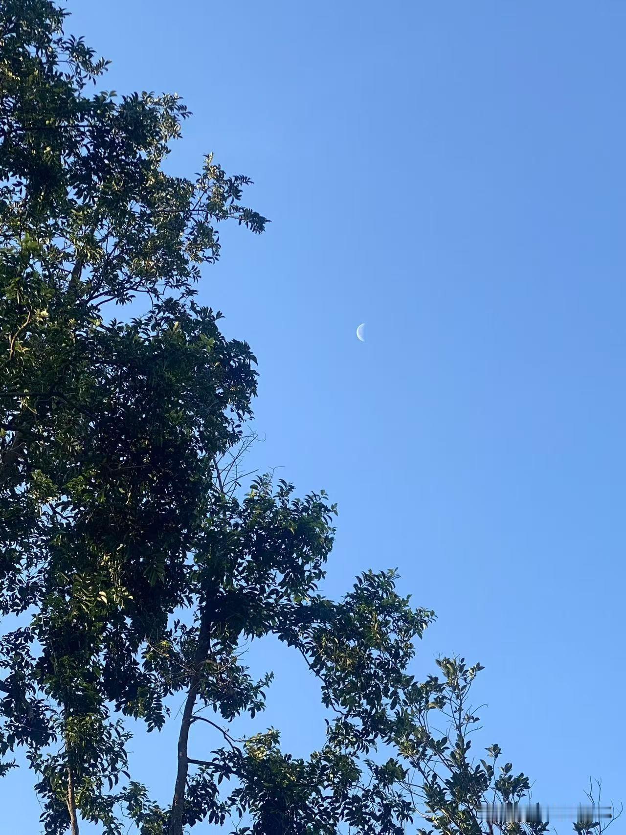 2025年4月23日，周三，海口今天温度25-36度。今天依旧高挂着红色高温预警