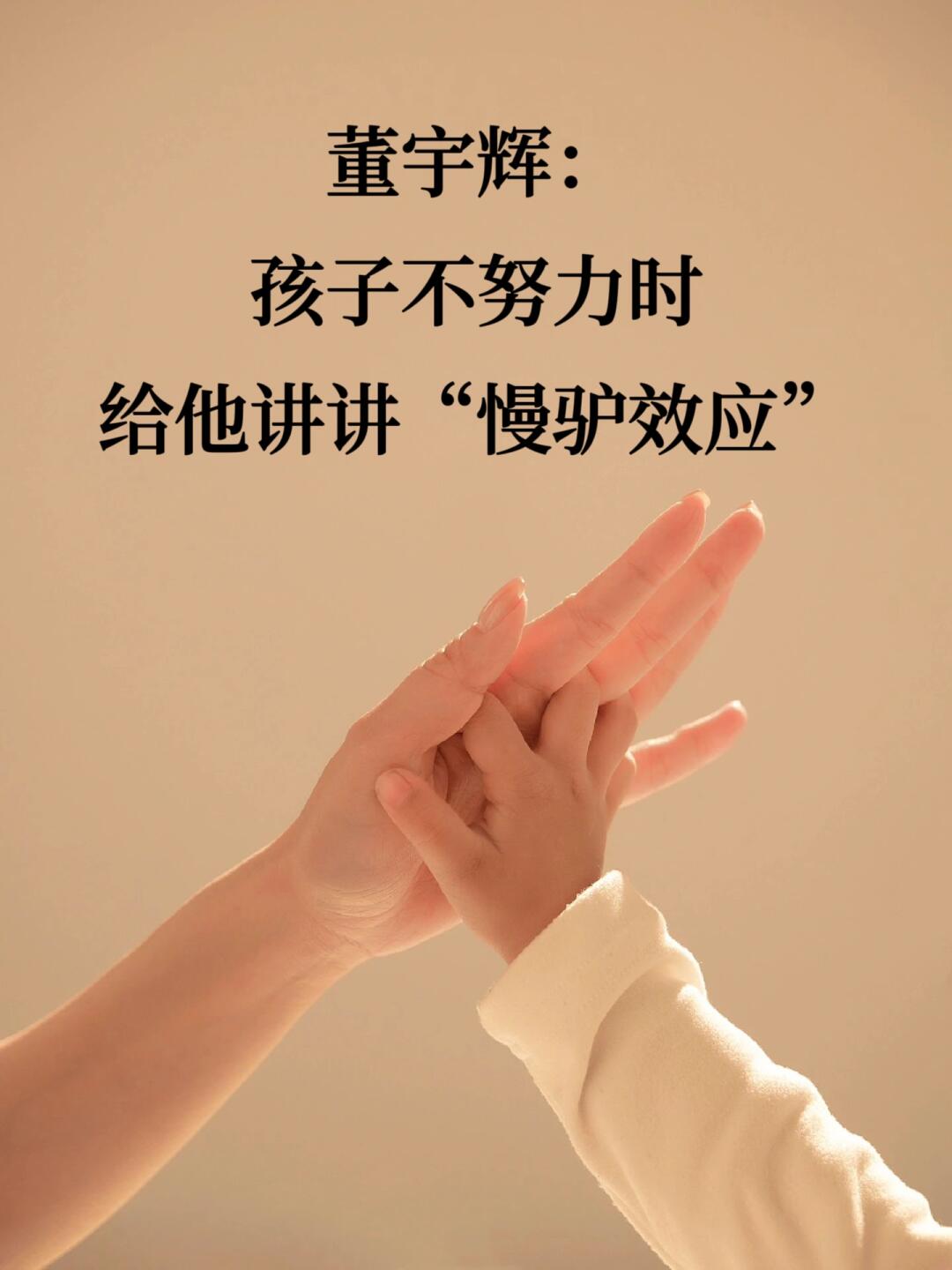 🔥孩子不努力时，给他讲讲 “慢驴效应”