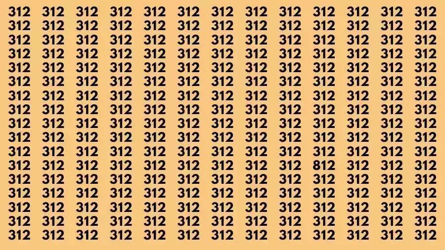 准备好迎接一场专注力与眼力的双重考验了吗？在密密麻麻的 812 个数字中，藏着一