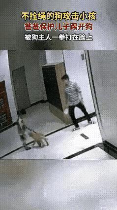父亲护子踢开未拴绳恶犬
反被狗主一拳打成重伤二级
结局大快人心
 
监控拍下的这