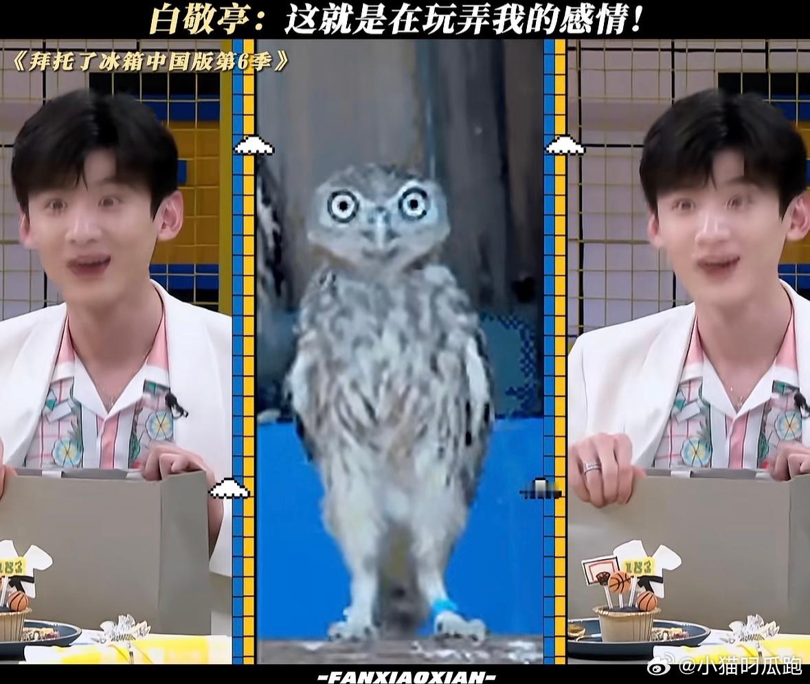 白敬亭这就是在玩弄我的感情白敬亭说井柏然玩弄他的感情看到礼物的白敬亭当场喊话想要