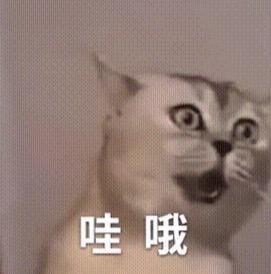 「黑神话」火了之后，山西旅游的人数爆了。

刷到一个网友研究生毕业后回到老家山西