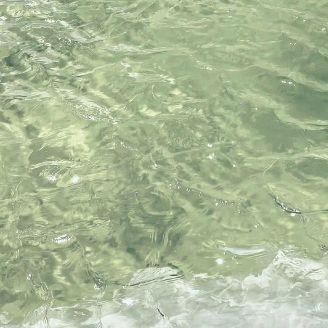 如果六月是生命的脈絡 