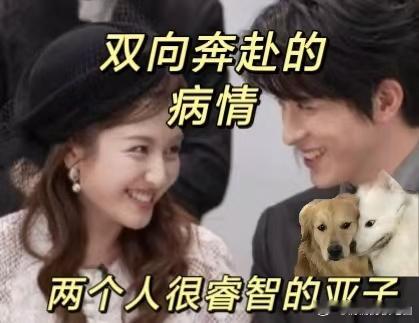 李兰迪敖瑞鹏双向奔赴的病情 高冷李兰迪碰上搞笑敖瑞鹏，《朝雪录》片场直接失控。两