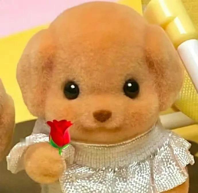 端午节你们公司发了什么福利 ​​​