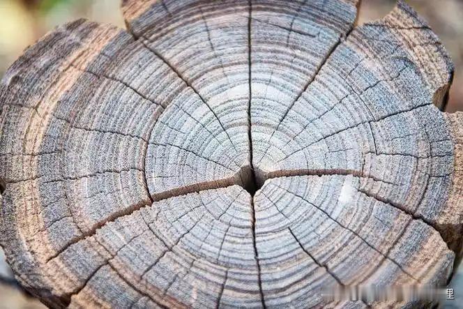 上联：上上下下上下一致，
下联：里里外外里外同心。