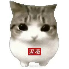 你们能看到我点赞特效吗 真！的！特别！美丽呀！ 