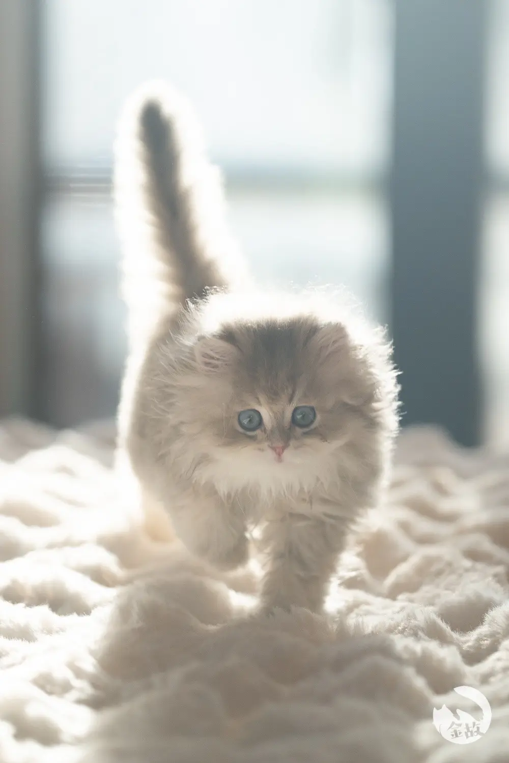 逵逵会发光呀～