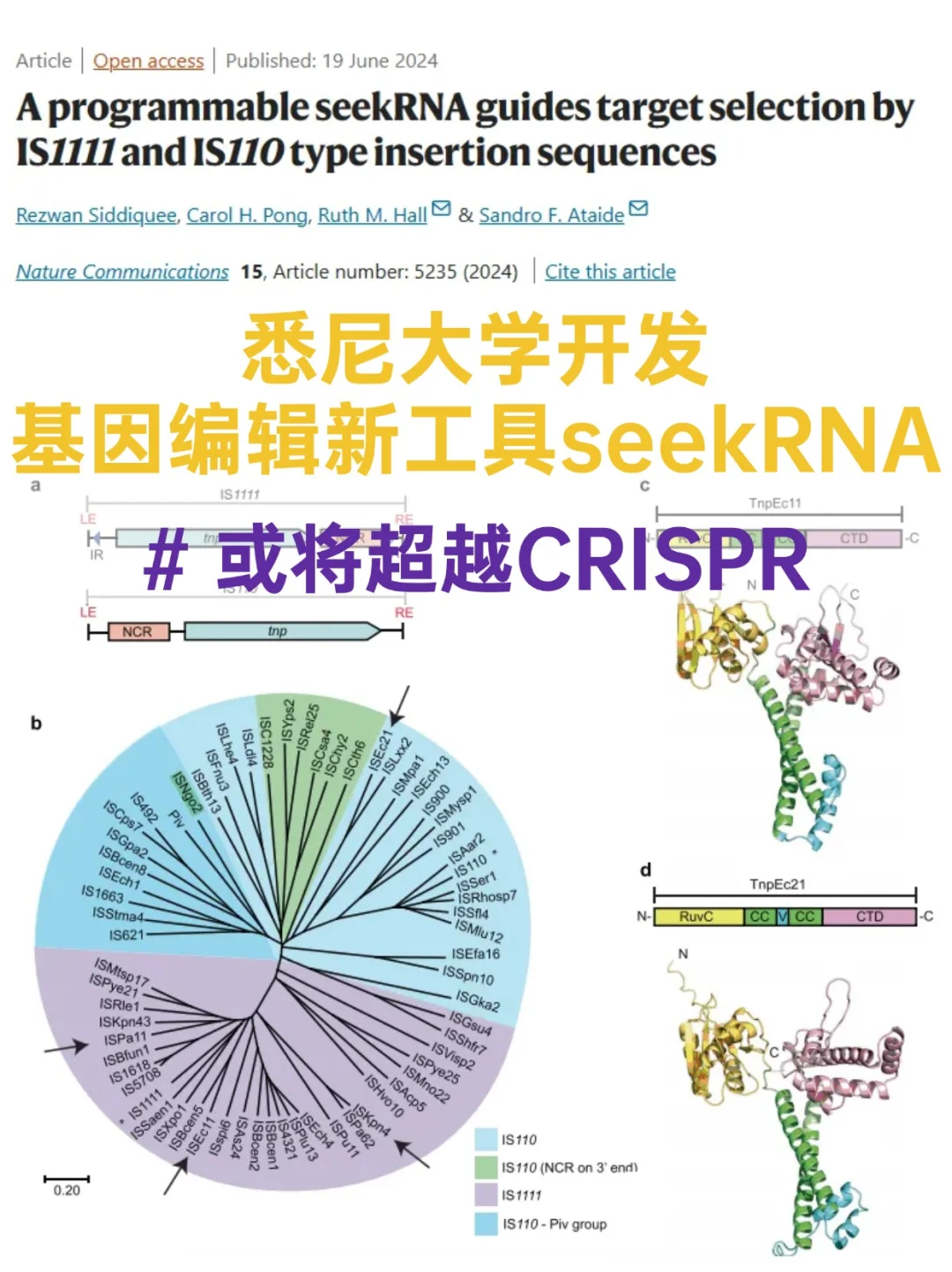 掀DNA革命丨悉尼大学开发基因编辑新工具