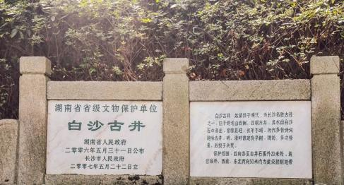 历史上的今日  1919年１ ２ 月 ３ 日 　 同 新 民 学 会 会 员 和