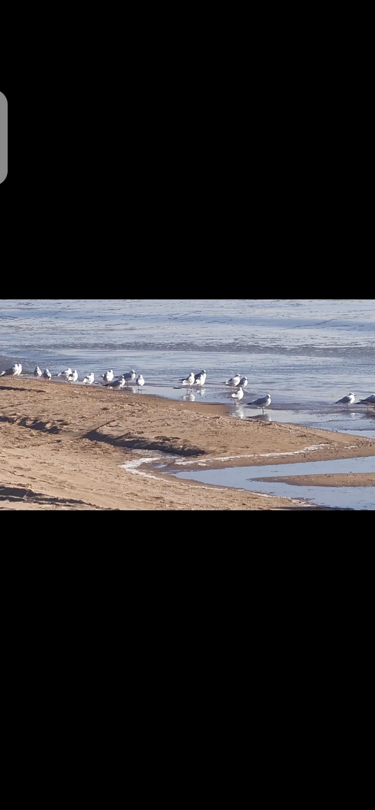 这触及了一个现实而复杂的话题：养儿防老与自己养老之间的平衡。

的确，许多人在退