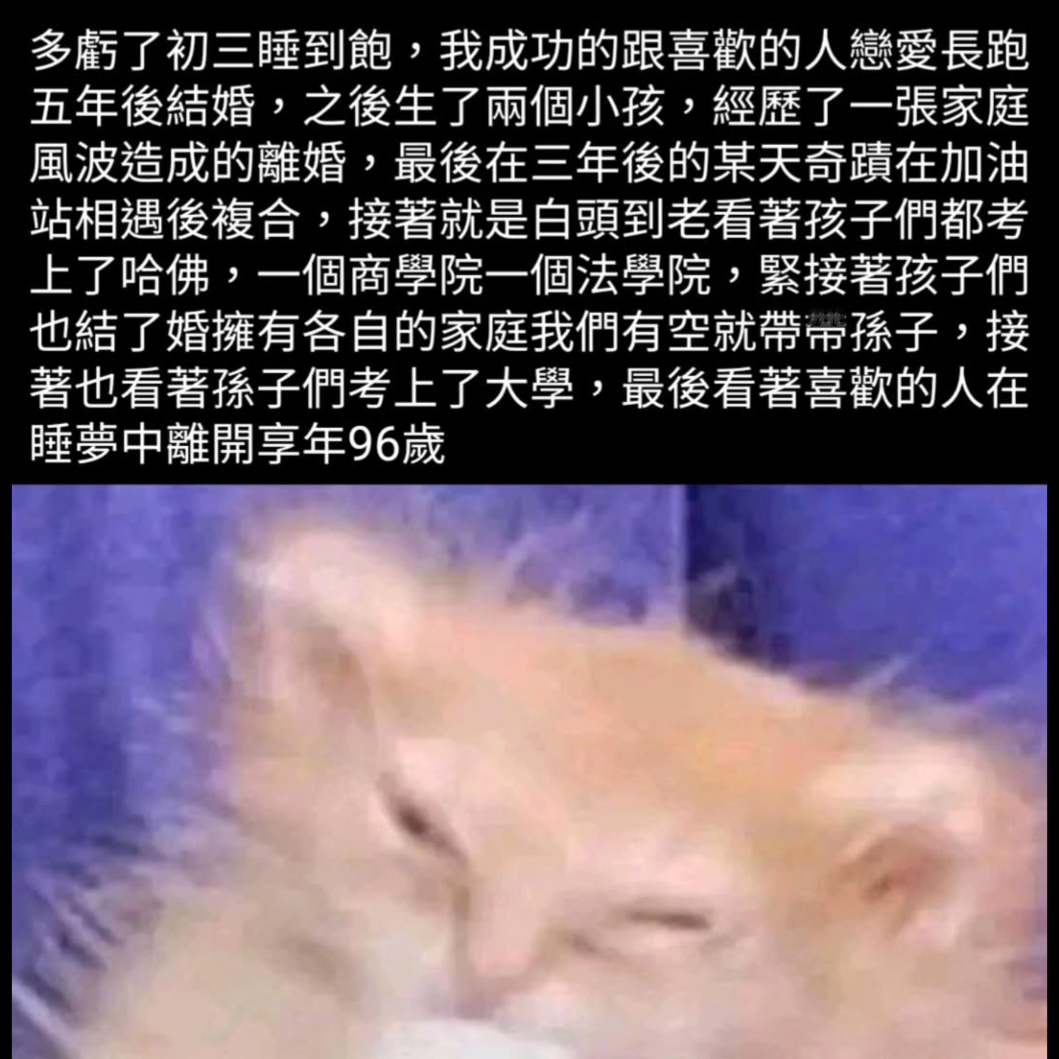 黄粱一梦memes