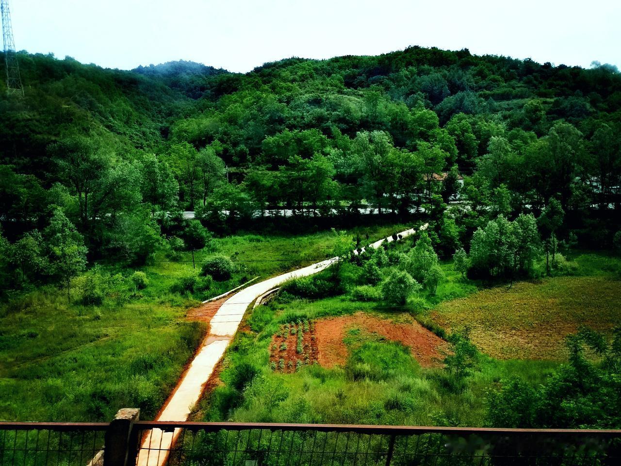 《陇东雨行K1088》（旅行日记）
从陇县入陇东，雨洗关山之后，绿染黄土坡，这一