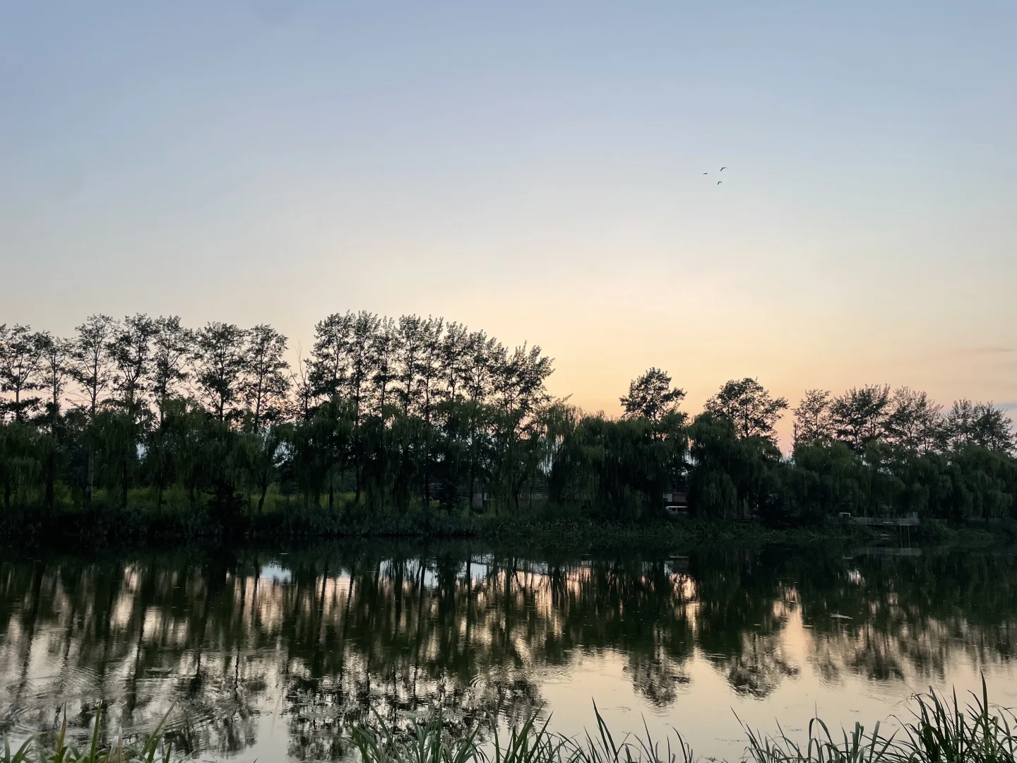 五点半起床冥想，真的彻底改变了我的生活