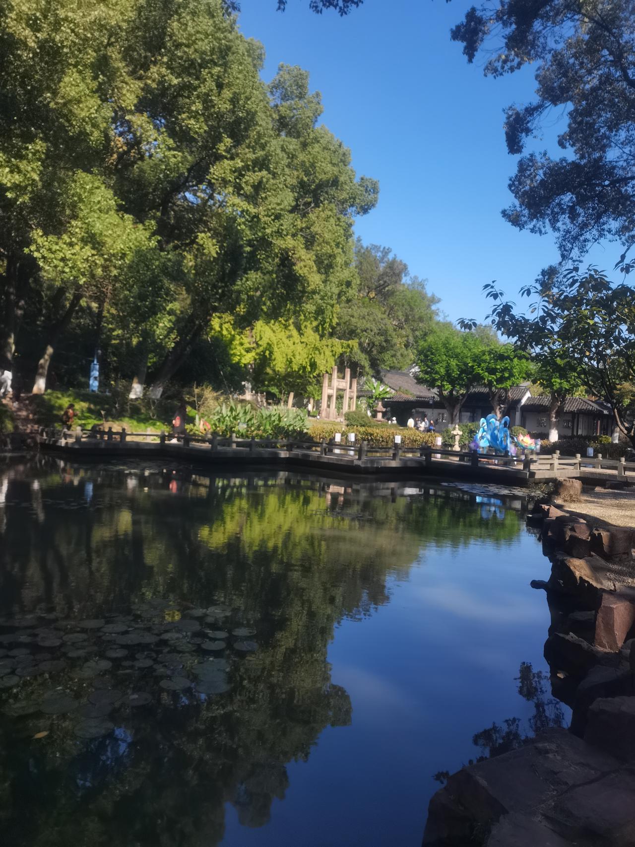 江南的冬天也是绿色且充满生机的。
这让我想起故乡玻璃窗上的霜花和路边不怎么美观的