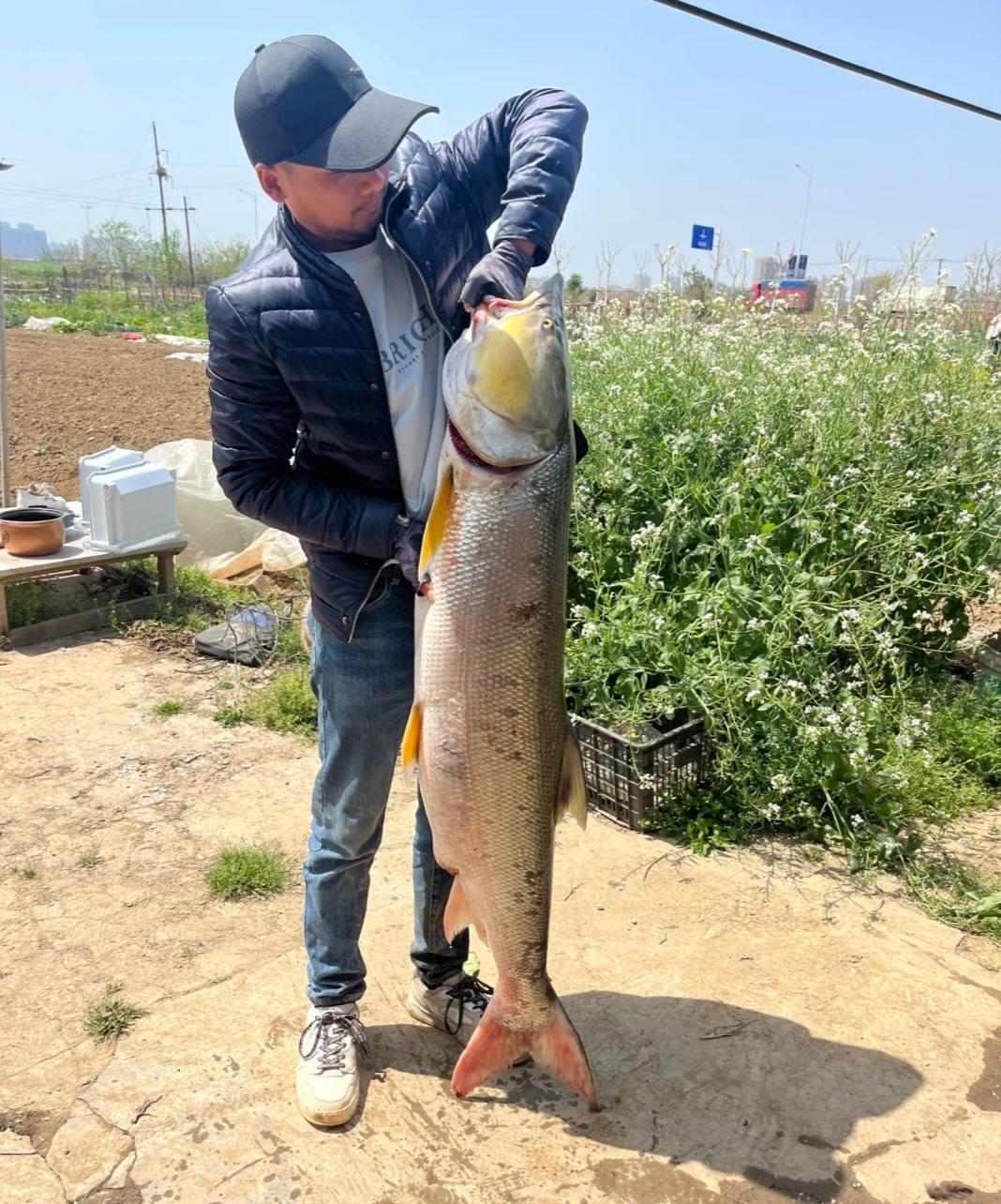 还是卖亏了
近日广西一夜钓爱好者的视频火了，没想到晚上4个小时真的没有白钓，竟然