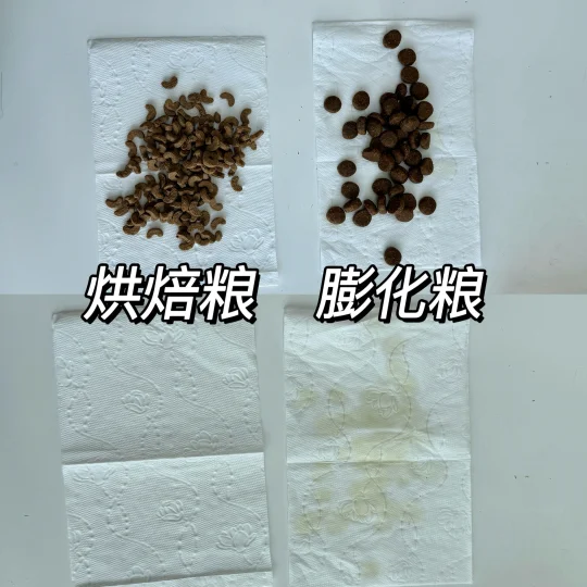 第一次喂烘焙狗粮发现和膨化粮差别真的很大