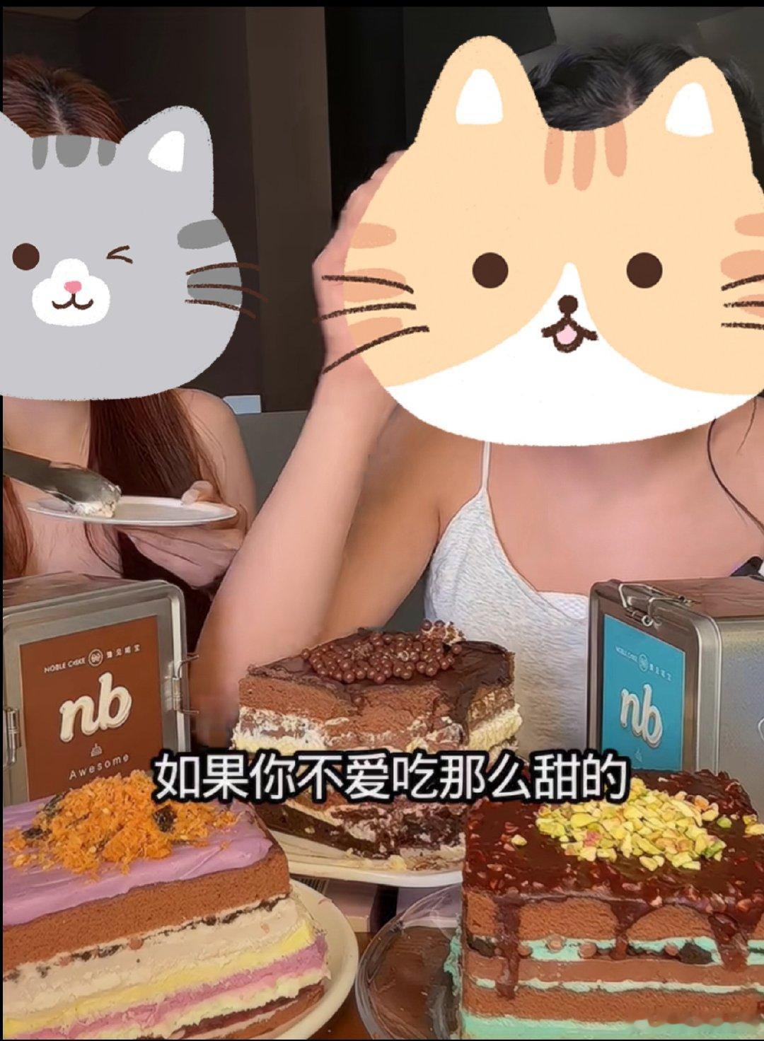 昨晚上饿了刷吃播，看到这个九层的nb蛋糕，感觉好香！今天四处找怎么买，好像只能小