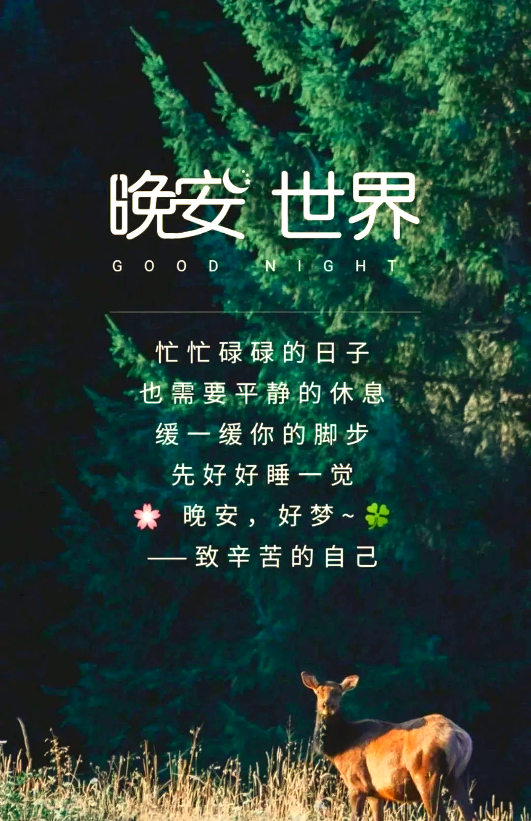 晚安晚安心语晚安军营    晚安，让好梦洗去你一天的疲惫 