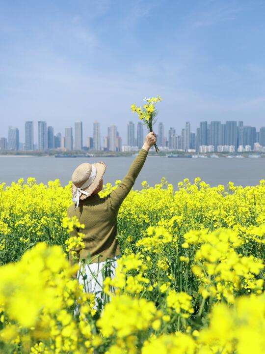 武汉江滩油菜花海已开爆‼️免费🆓机位get✅