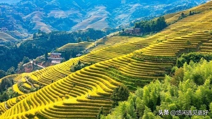 大家为什么喜欢网购呢？
先说我喜欢的网购吧！
第一，方便。不满意可以退换货，退换