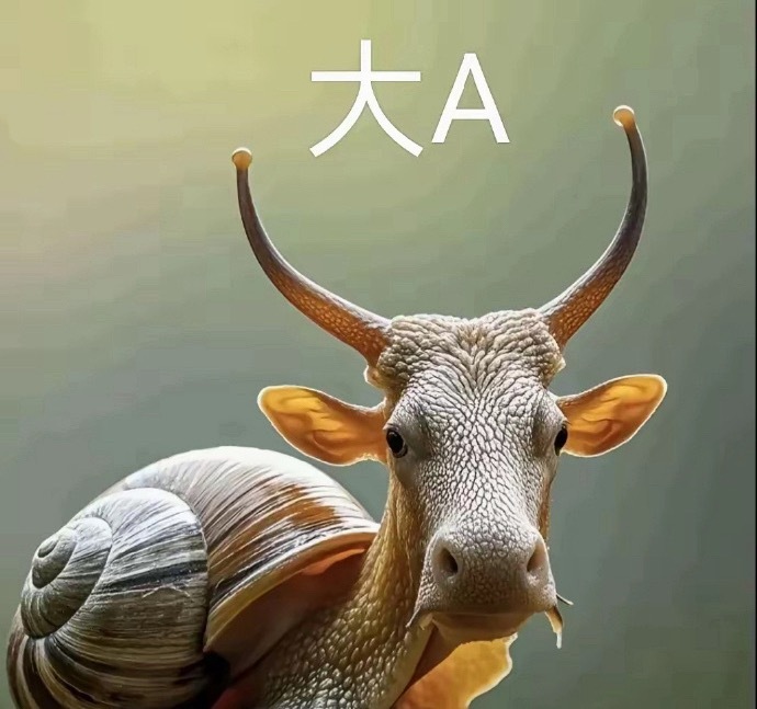 什么是中阳线知道不？传统技术术语对指数来说1%–3%的涨幅常被称为“中阳线”。如