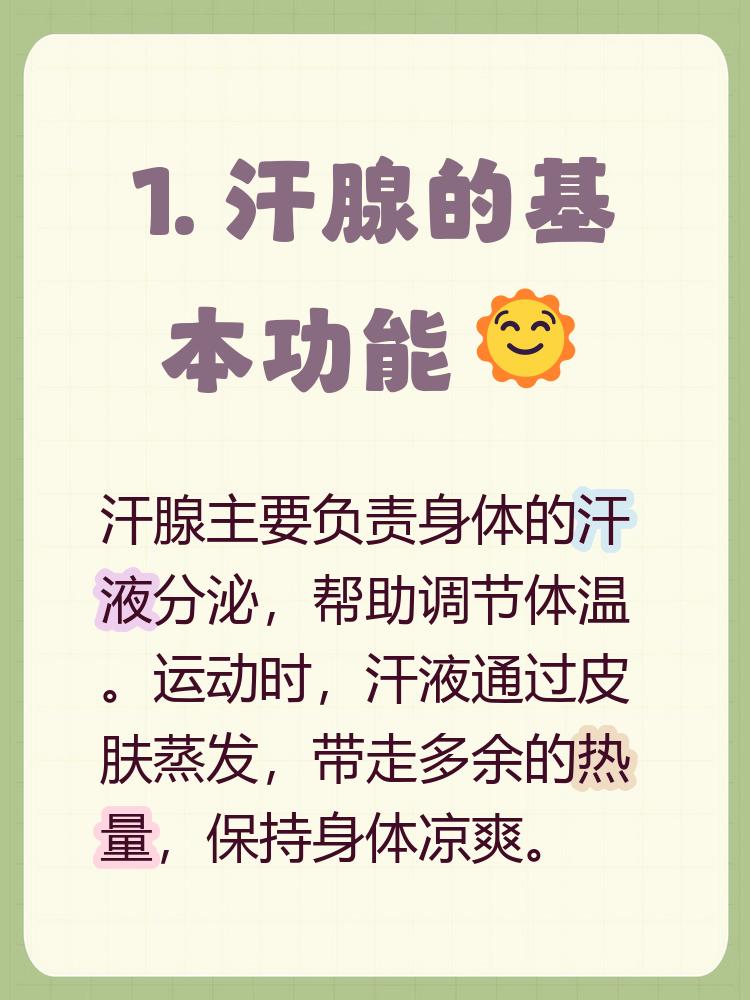 汗腺的基本功能
       夏日炎炎，汗腺简直就是救命恩人。汗腺的基本功能主要