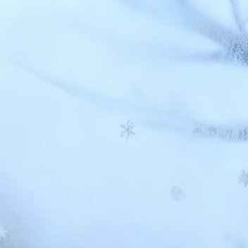 用心甘情愿的态度，过随遇而安的生活。遗憾，随风散去，美好，留在心底。给心灵一米阳