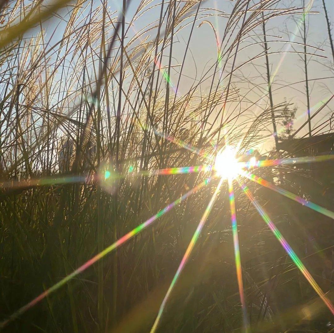 感情这东西，只有没玩够的在谈，玩够的都在谈钱。 