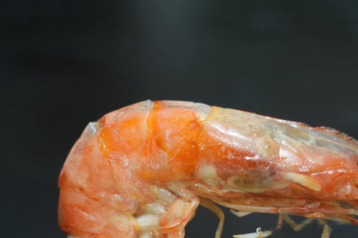 头痛欲裂，凑合吃点