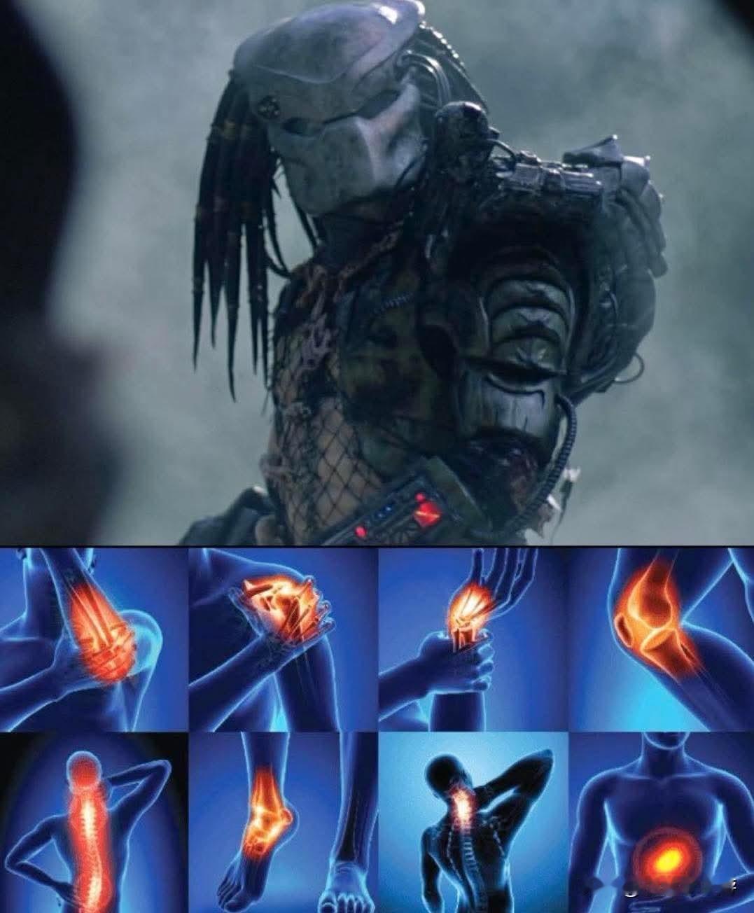 捕食者《铁血战士》在追逐猎物时所看到的景象[我想静静][泪奔][捂脸]