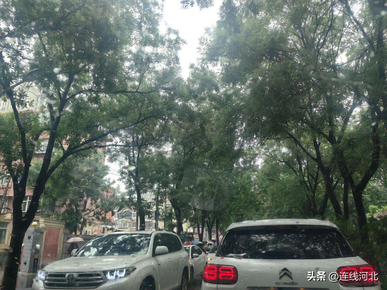 【石家庄周一早高峰遇雨：路再宽也堵  车再慢也得走】今天一早的石家庄是周一+雨天