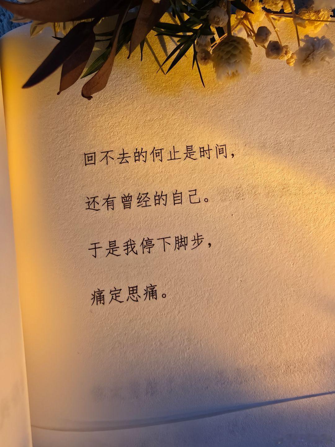 回不去的何止是时间，还有曾经的自己。于是我停下脚步，痛定思痛。 