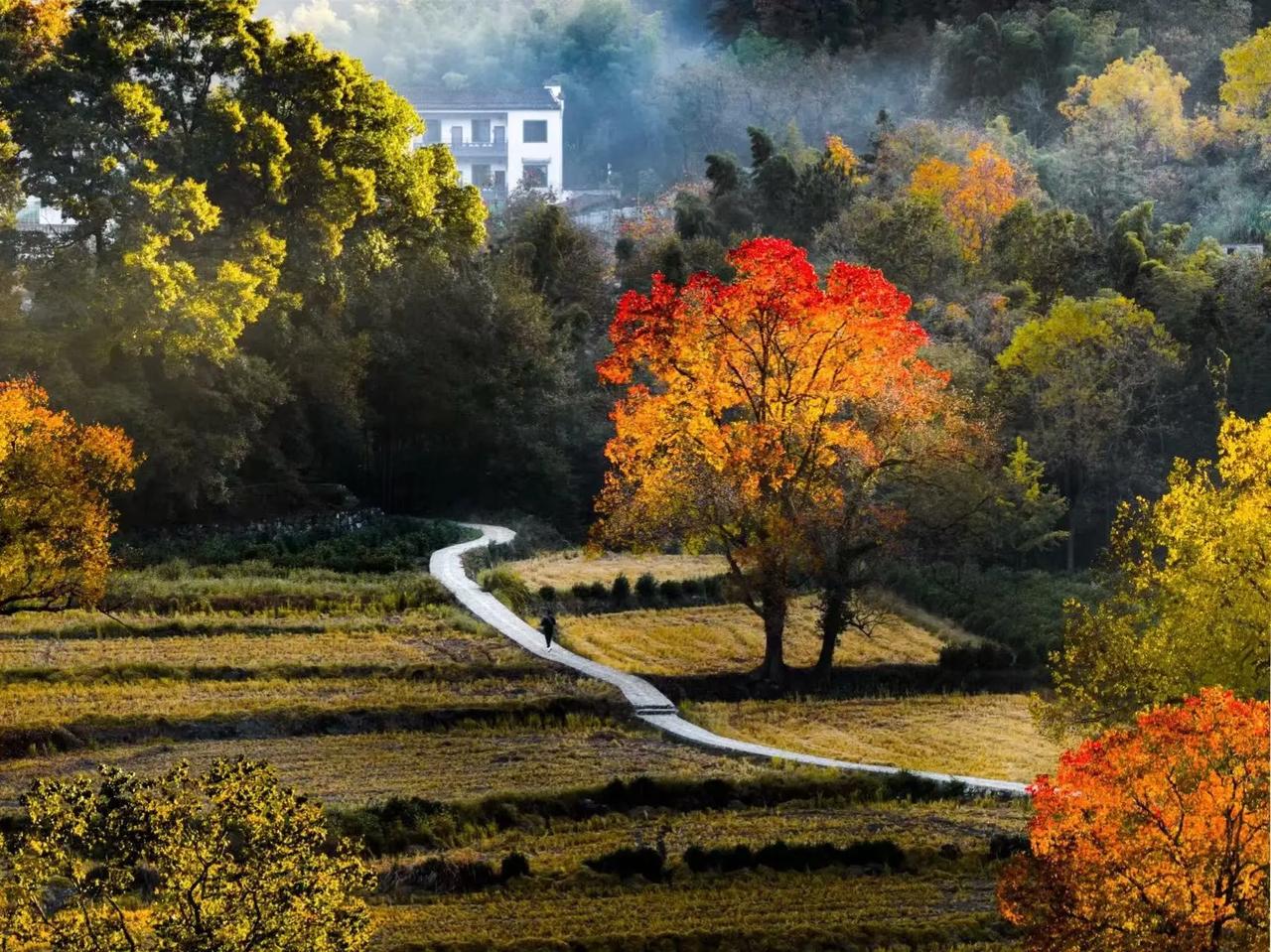 我前面开的是宝马，后来换车的时候买了比亚迪，不是因为其他的原因，突然想通了一个问