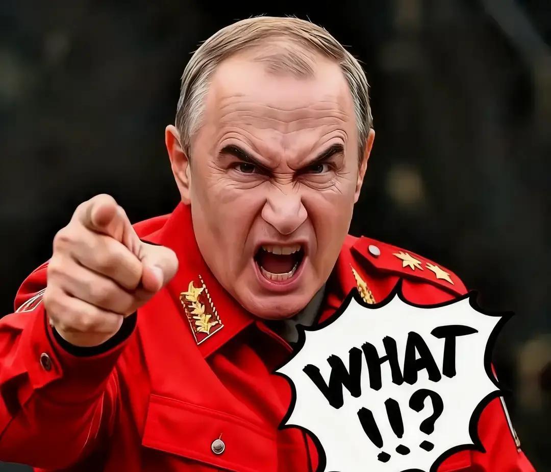 就在刚才俄罗斯正式宣布了11月25日，俄罗斯国防部突然通报，为回应乌克兰对俄境内