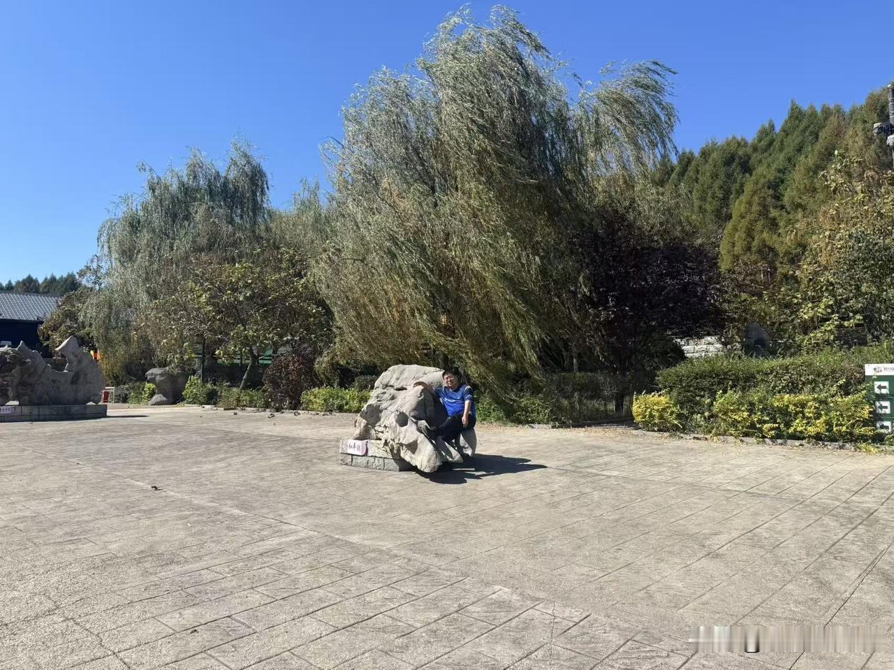 我在抖音里发个视频，有个我曾经学生给我留言说：老师，我是你的学生，很想念你，当年