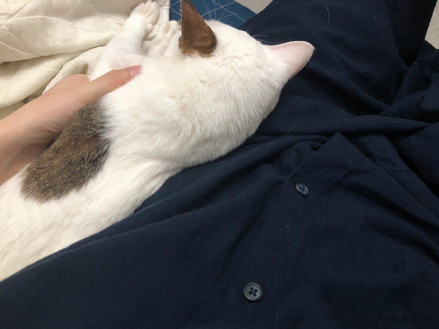 亲子温馨时刻 ​​​
