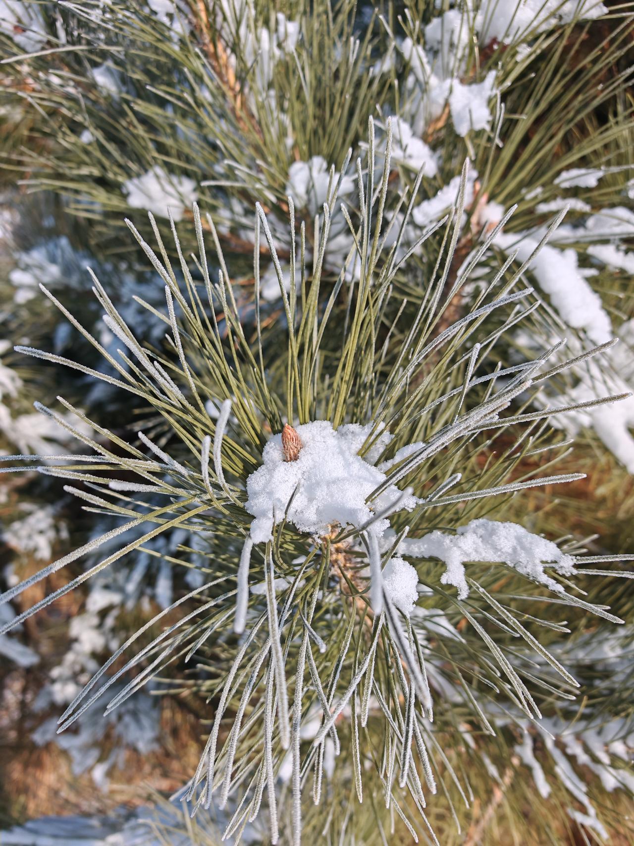 与痛风斗争的历程82
 
   早上起床时，浑身关节难得地舒展自在，没有往常那种