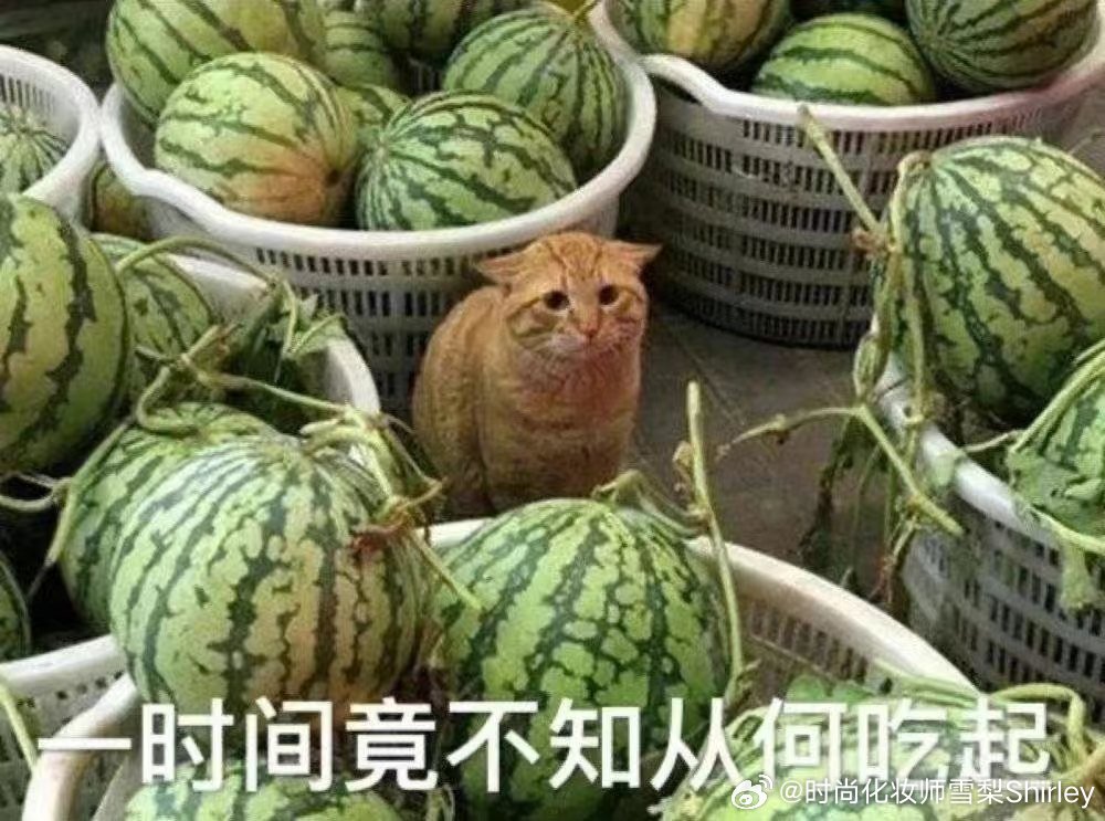 王鸥 我目前独自养育一个孩子这一天天的瓜，有点密集啊。贵圈永远不会让吃瓜群众失望