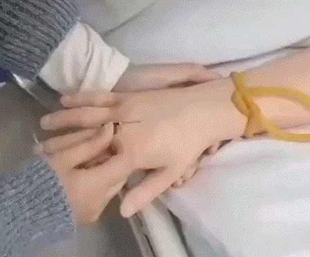 网友:千万不要叫她毕业啊！