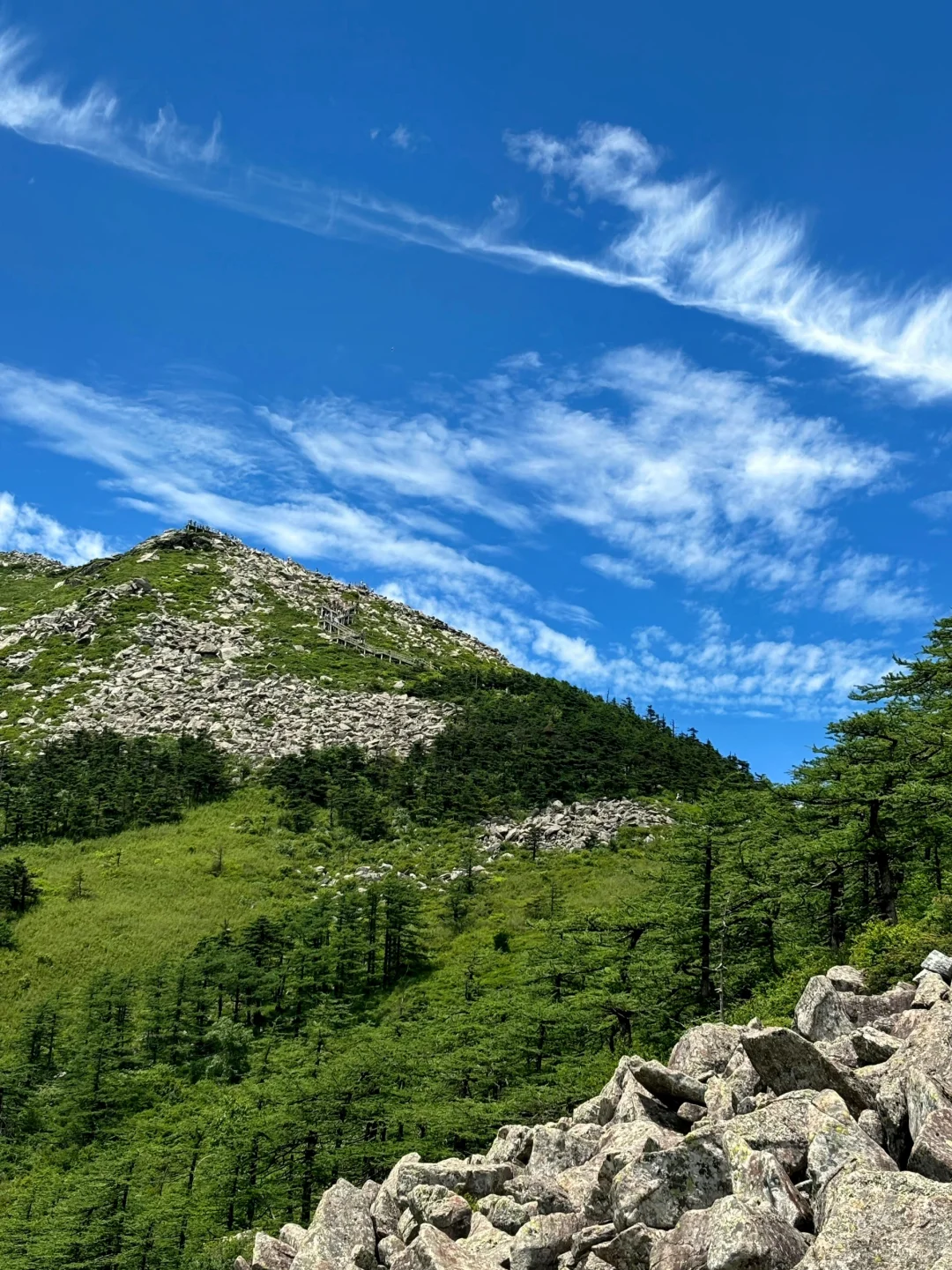 朱雀森林公园，打卡高山草甸！🚌西安出发