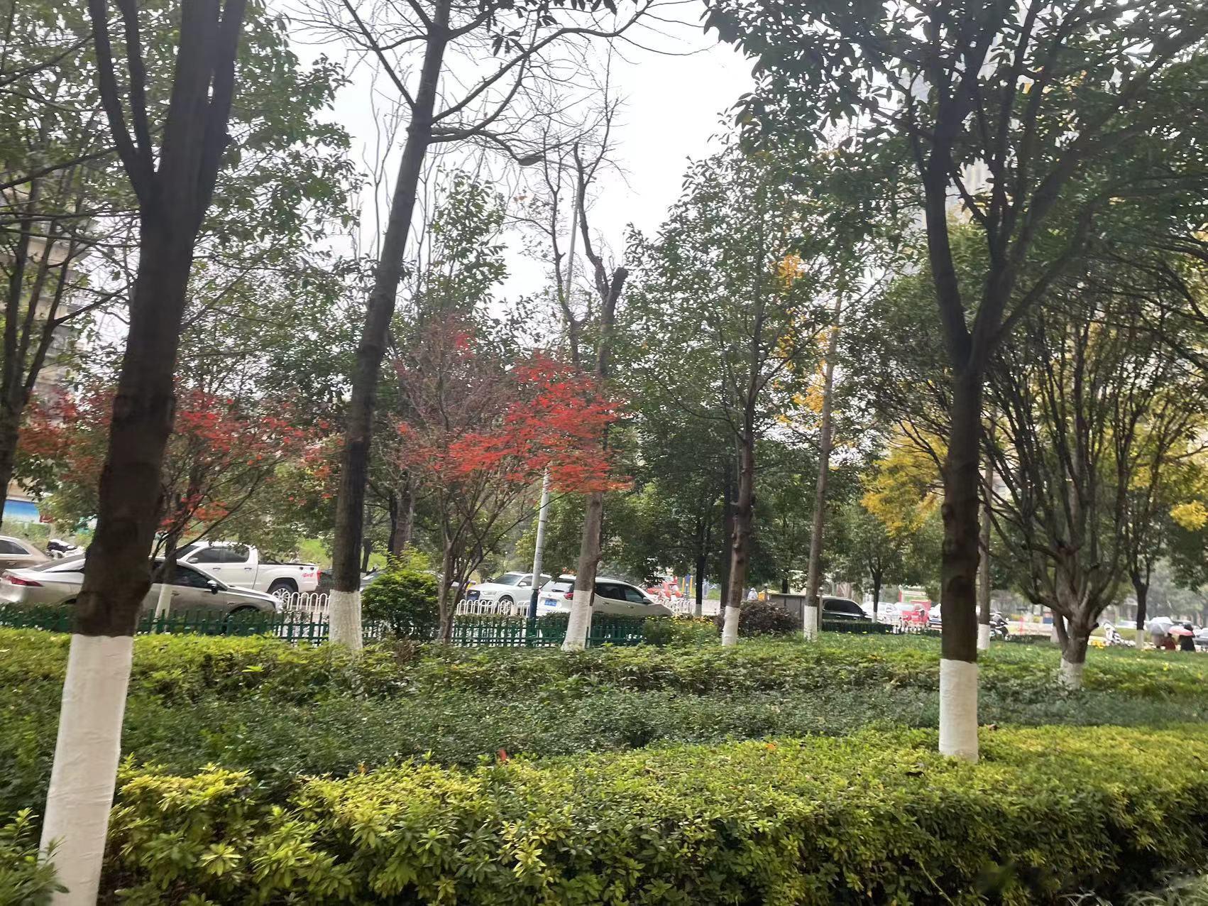 最近…碎片来咯谁能懂那碗卤面好吃的程度，冒着雨去打包的#遇见美好##不可辜负的美