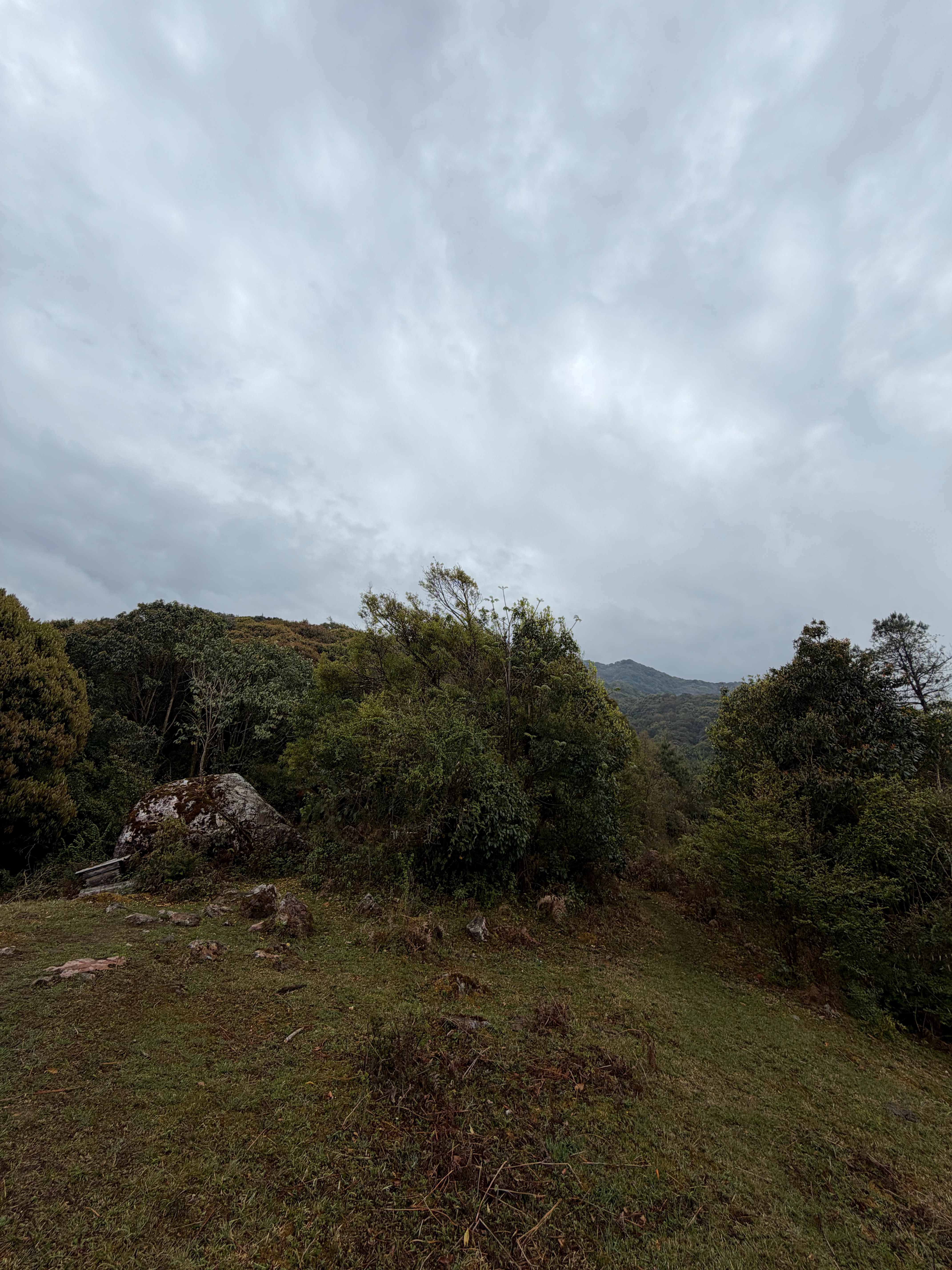 这里联通信号没问题甚至还可以发微博 保山·高黎贡南段高山草甸景区
