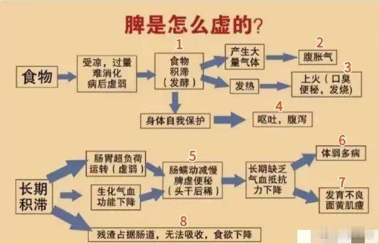 很多病都是脾虚引起的 脾虚的人太多了，脾很重要的。现在的病很多是吃出来的，生活条