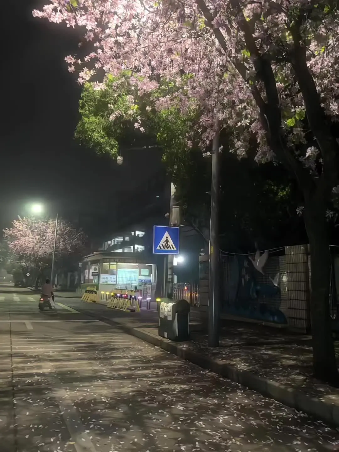 我们迟迟未见 像过期的春天