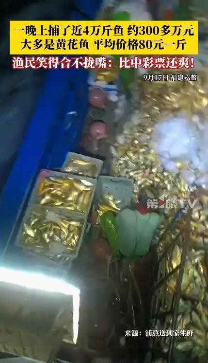 我有种预感，

漳州的这些渔民要过上好日子了，

不是因为天气好，也不是因为技术