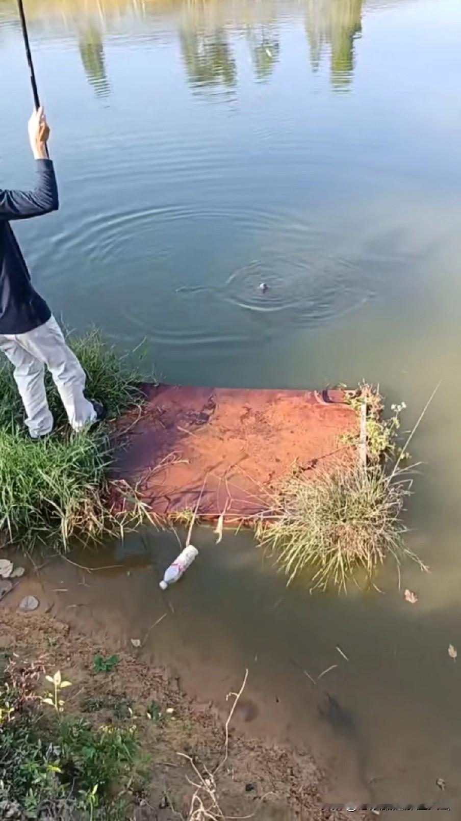 现在钓鱼的都是哪类人